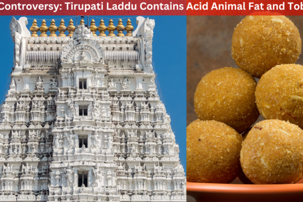 New Controversy Tirupati Laddus Contain Amid Animal Fat and Tobacco