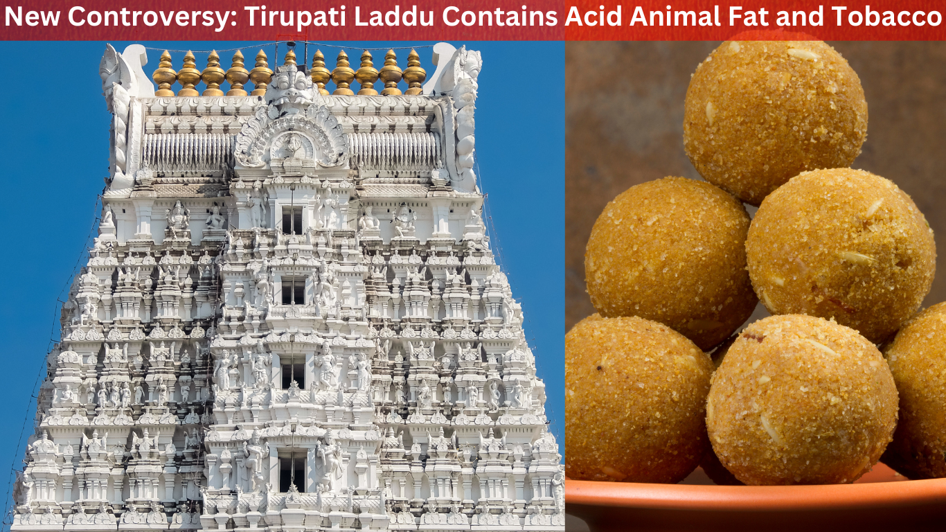 New Controversy Tirupati Laddus Contain Amid Animal Fat and Tobacco