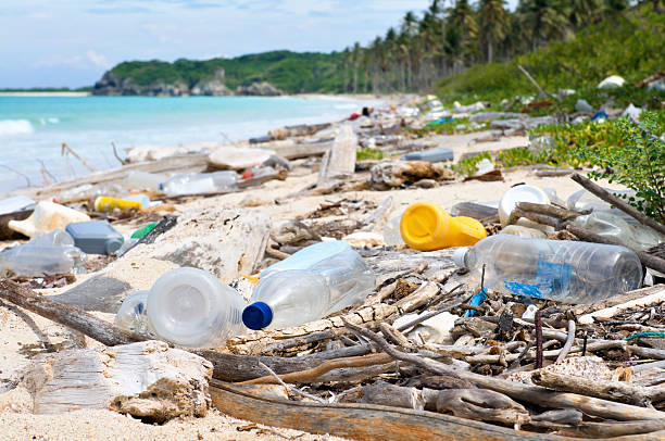 The Plastic Crisis: Five Everyday Items Polluting the Planet