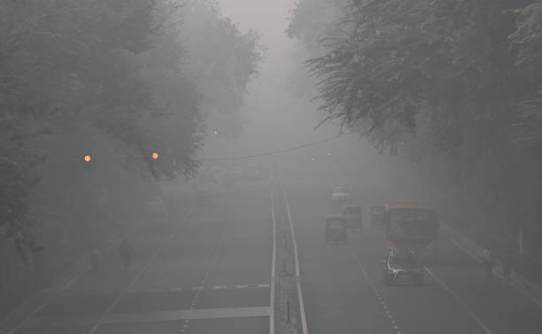 Delhi Air Pollution Crisis Costs $300M: Urgent Action Needed to Save Lives and Livelihoods