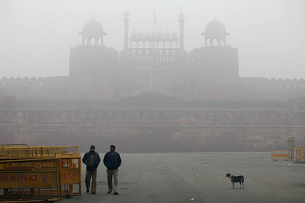 Delhi Air Pollution Crisis Costs $300M: Urgent Action Needed to Save Lives and Livelihoods