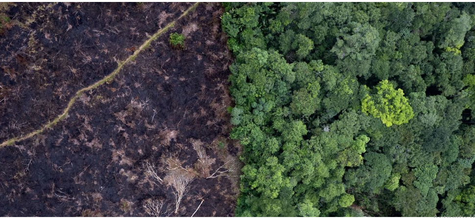 UN Top Court Begins Historic Hearing on Climate Change Responsibilities